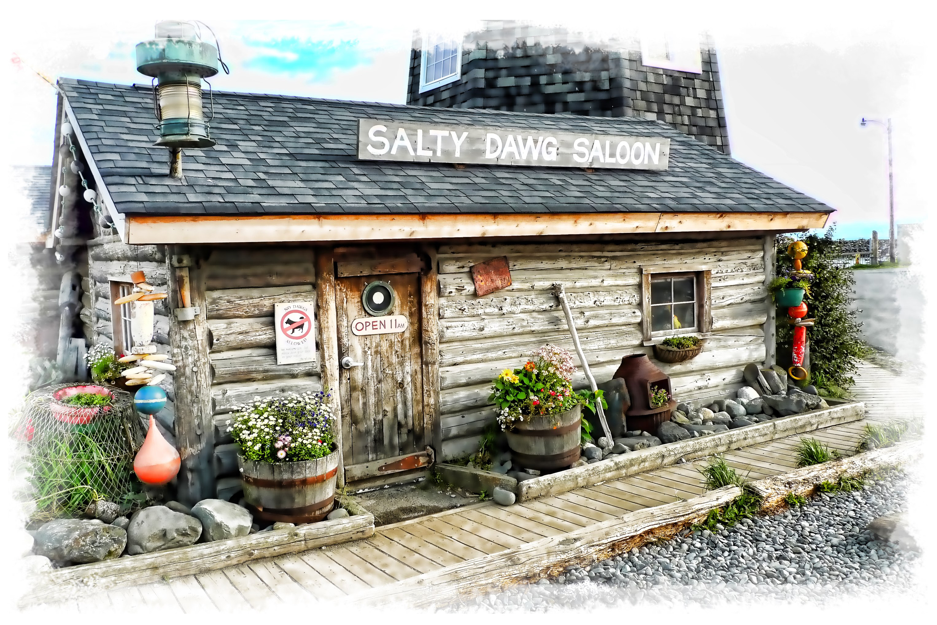 Salty Dog, Homer, Alaska | Vanishing Light