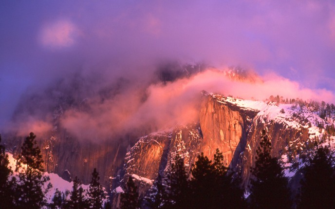 Aspen Light - Yosemite Park