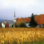 Corn Fields - Vermont