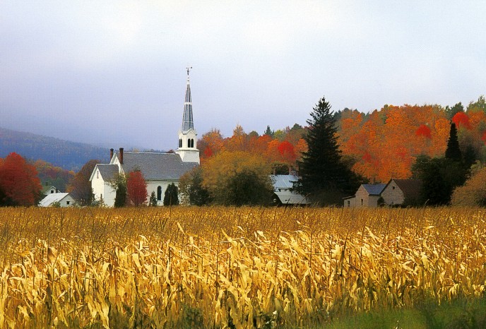 Corn Fields - Vermont