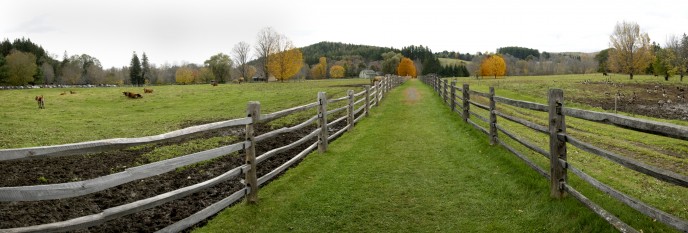 Fences - Vermont