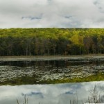 Golden Pond - Vermont