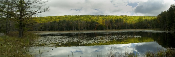 Golden Pond - Vermont