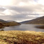 Ireland Bog - Ireland