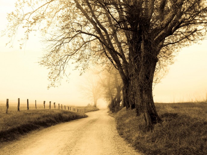 Road Home - Caves Cove, Tennessee