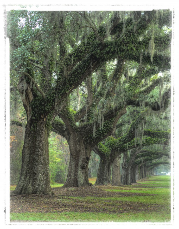 Southern Charm - Charleston, SC