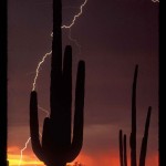 Storm - Tucson