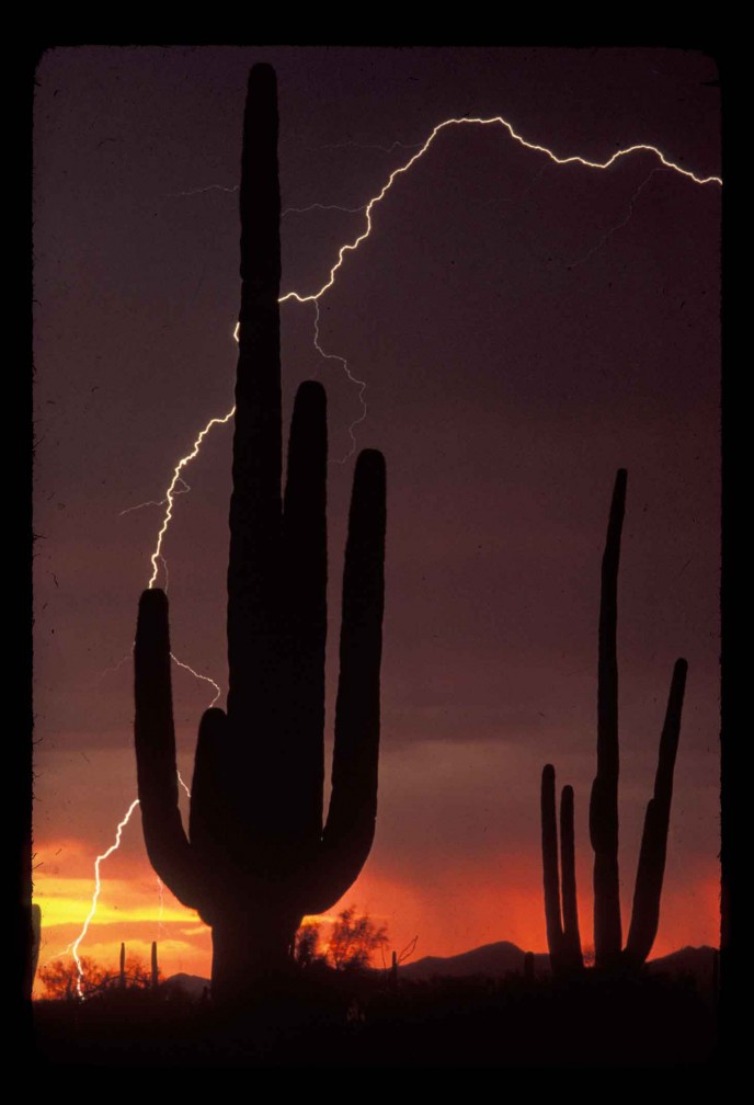 Storm - Tucson