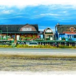 Shops - Homer, Alaska