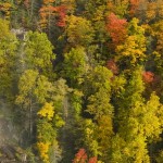 White Water Falls - NC