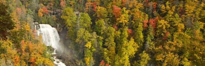 White Water Falls - NC