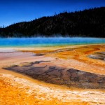 Acid Pools – Yellowstone