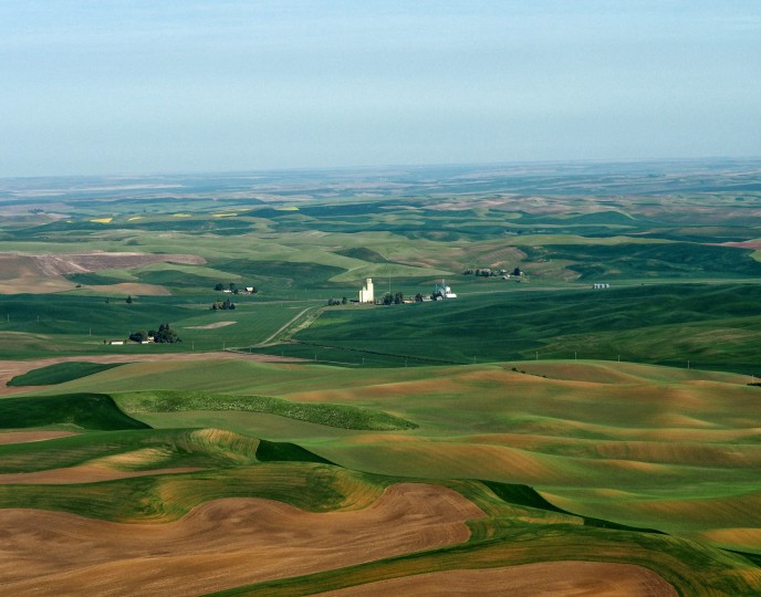 Palouse Landscape – Washington